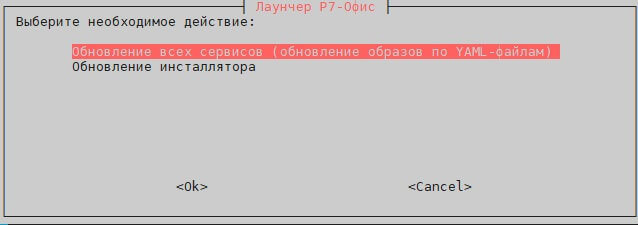 Обновление Корпоративный сервер 2024 до версии 2025.4.6.16449, Сервер документов до версии 2025.4.1.1604 и Р7 Команда до версии 1.13.0-543 через docker инсталлятор
