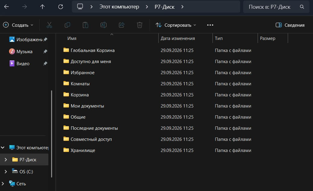 Инструкция по подключению к P7-Диску через WebDAV
