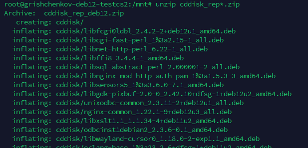Инструкция по офлайн установке Корпоративный сервер 2025.1.18.15276 на Debian 12