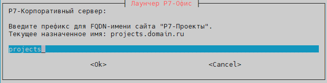 Префикс модуля Проектов Корпоративного сервера