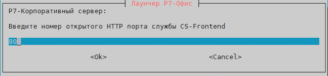 Укажите порты HTTPS и HTTP, которые будут доступны для других нод, эти порты будут проброшены в контейнер СS-Frontend на порты 443 и 80. Рекомендуем оставить как есть, либо изменить, если он уже занят на ноде, иначе установка не выполнится.