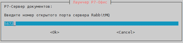 Укажите порт, который будет доступен для других нод, этот порт будет проброшен в контейнер на порт 5672. Рекомендуем оставить как есть, либо изменить, если он уже занят на ноде, иначе установка не выполнится.