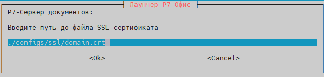 Необходимо указать путь до расположения сертификата и ключа (имена могут быть любыми)