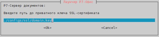 Необходимо указать путь до расположения сертификата и ключа (имена могут быть любыми)