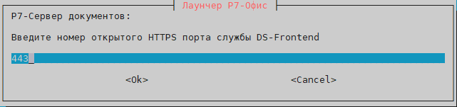 Укажите порты HTTPS и HTTP, которые будут доступны для других нод, эти порты будут проброшены в контейнер DS-Frontend на порты 443 и 80. Рекомендуем оставить как есть, либо изменить, если он уже занят на ноде, иначе установка не выполнится.