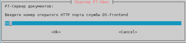 Укажите порты HTTPS и HTTP, которые будут доступны для других нод, эти порты будут проброшены в контейнер DS-Frontend на порты 443 и 80. Рекомендуем оставить как есть, либо изменить, если он уже занят на ноде, иначе установка не выполнится.