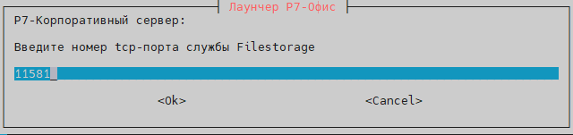 Укажите tcp порт, который будет доступен для других нод, этот порт будет проброшен в контейнер на порт 11581. Рекомендуем оставить как есть, либо изменить, если он уже занят на ноде, иначе установка не выполнится.
