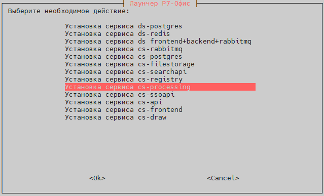 Выберите пункт "Установка сервиса cs-processing"