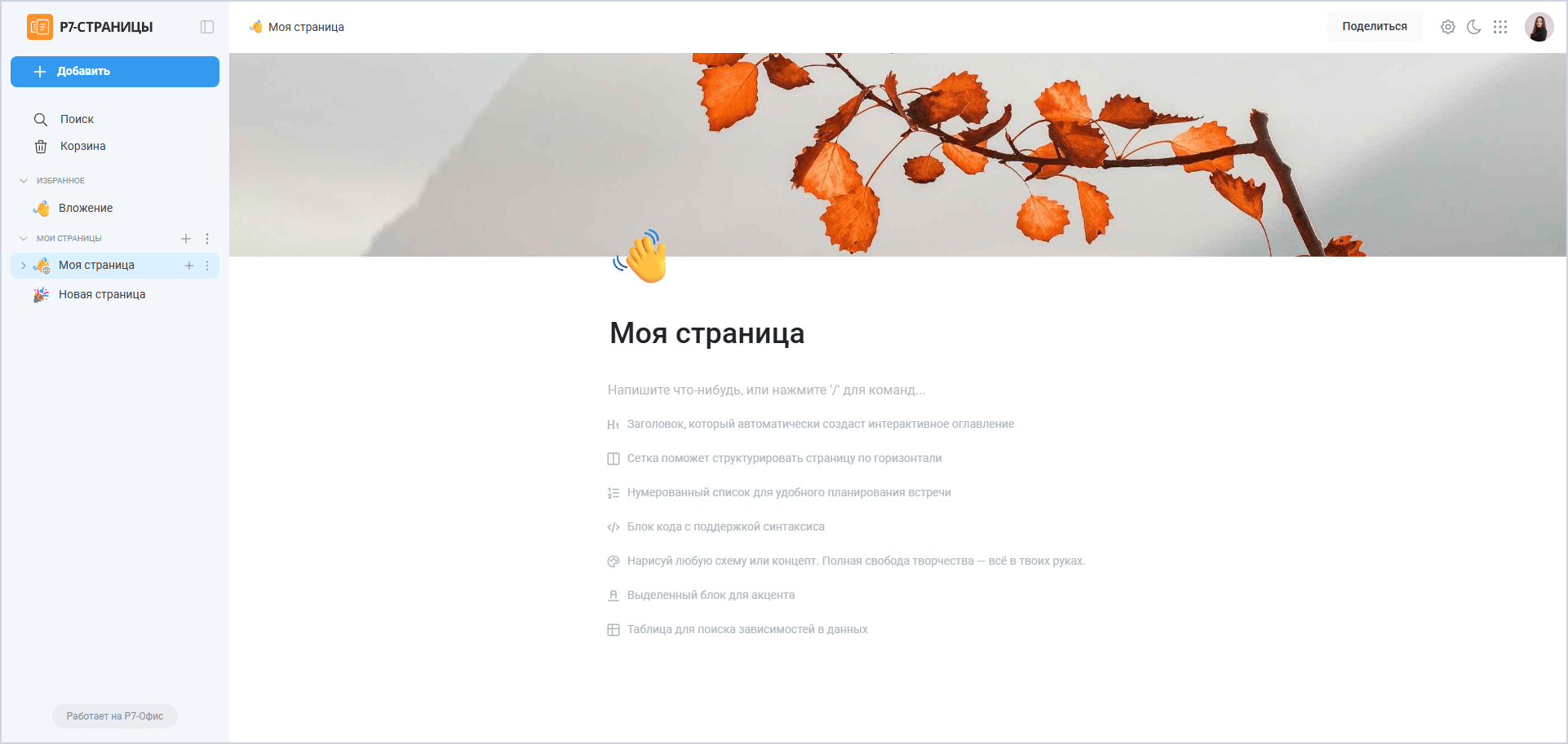 Рабочая область модуля «Страницы»