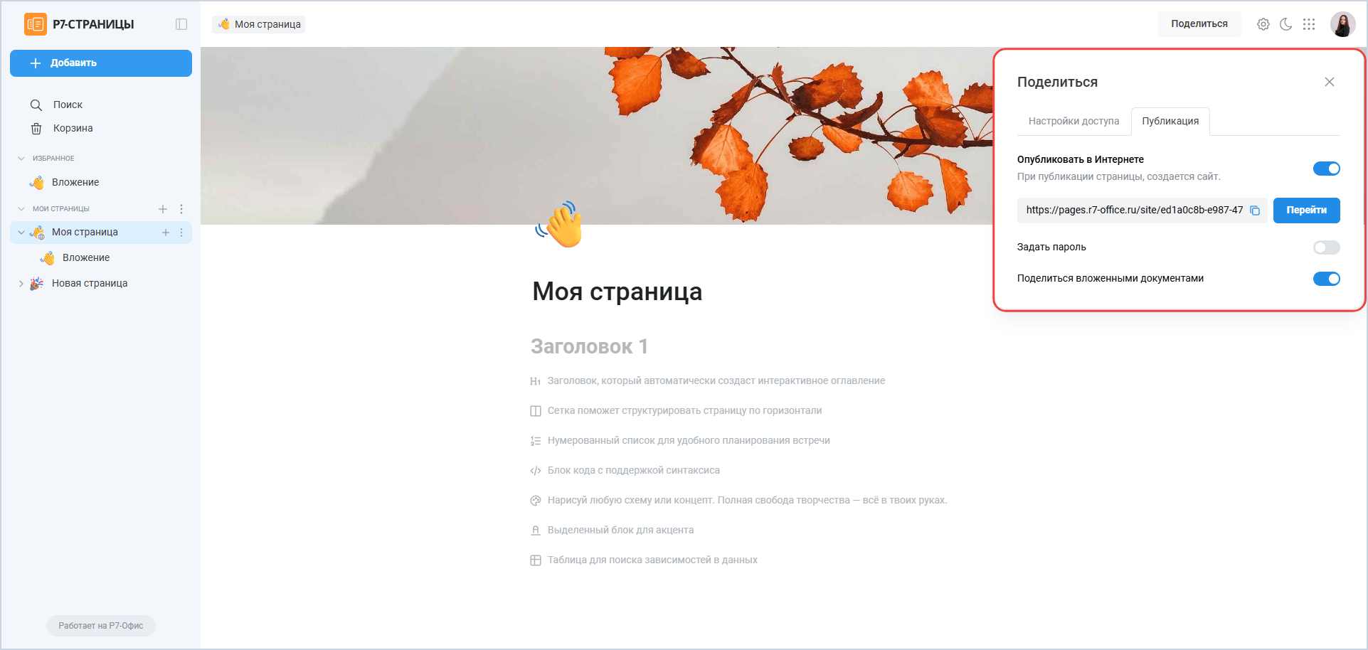 Вкладка «Публикация»