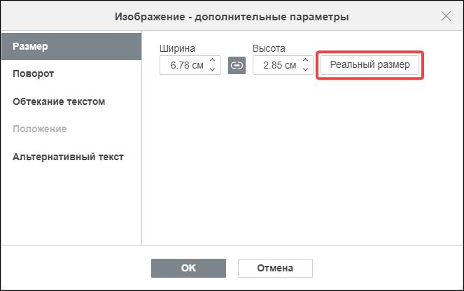 Кнопка «Реальный размер» в окне «Изображение - дополнительные параметры»